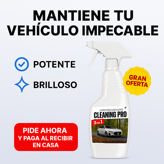 Porcelanizador Para Auto 3 en 1